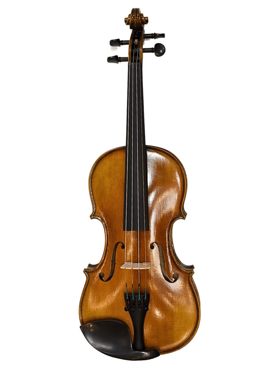 European Violin Strumento Corda